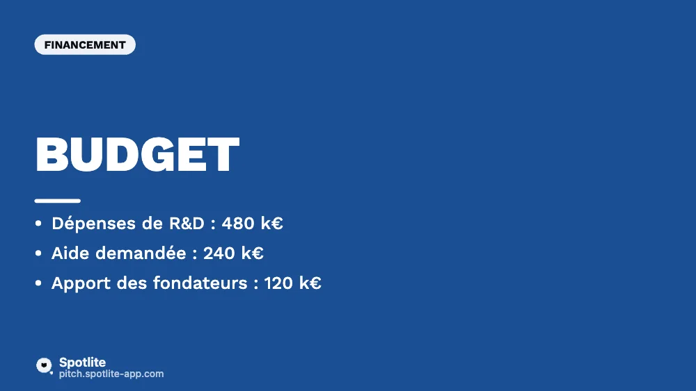 Dossier d'aide à l'innovation — slide 4 : Budget