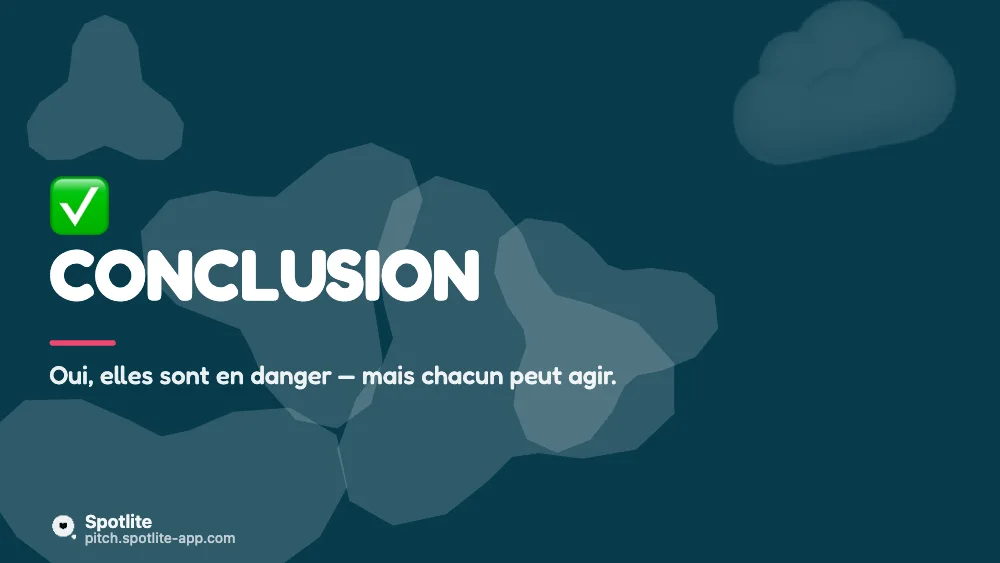 Exposé — slide 5 : Conclusion