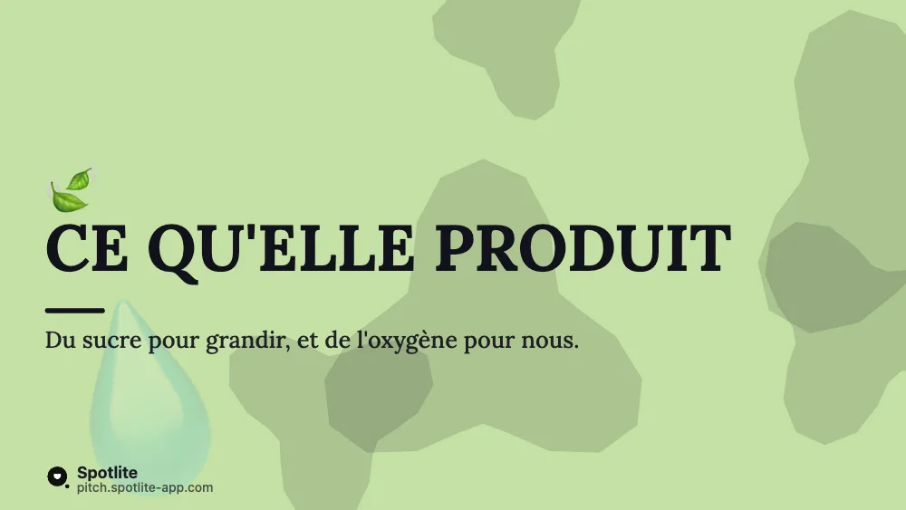 Exposé de SVT — slide 4 : Ce qu'elle produit