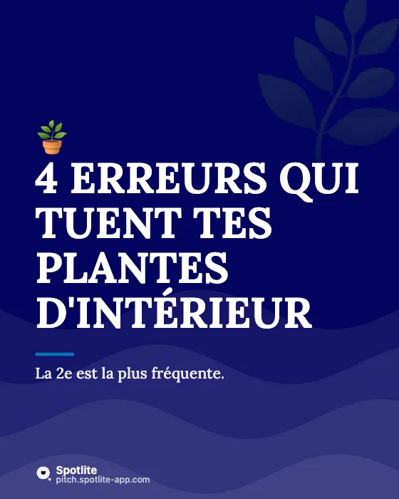 Conseils en carrousel — slide 1 : 4 erreurs qui tuent tes plantes d'intérieur
