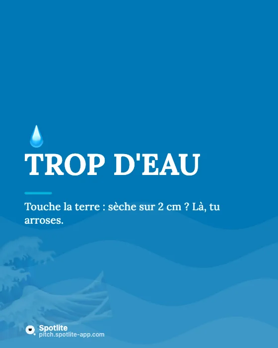 Conseils en carrousel — slide 2 : Trop d'eau