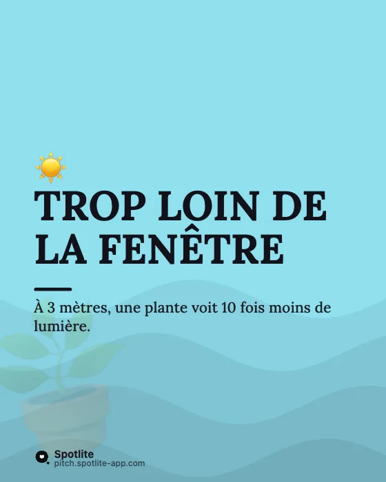 Conseils en carrousel — slide 4 : Trop loin de la fenêtre