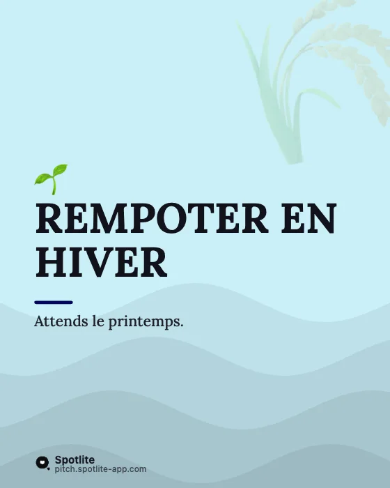 Conseils en carrousel — slide 5 : Rempoter en hiver
