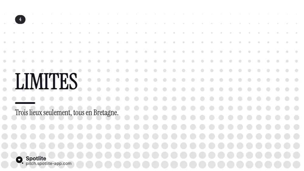 Soutenance de mémoire de master — slide 5 : Limites