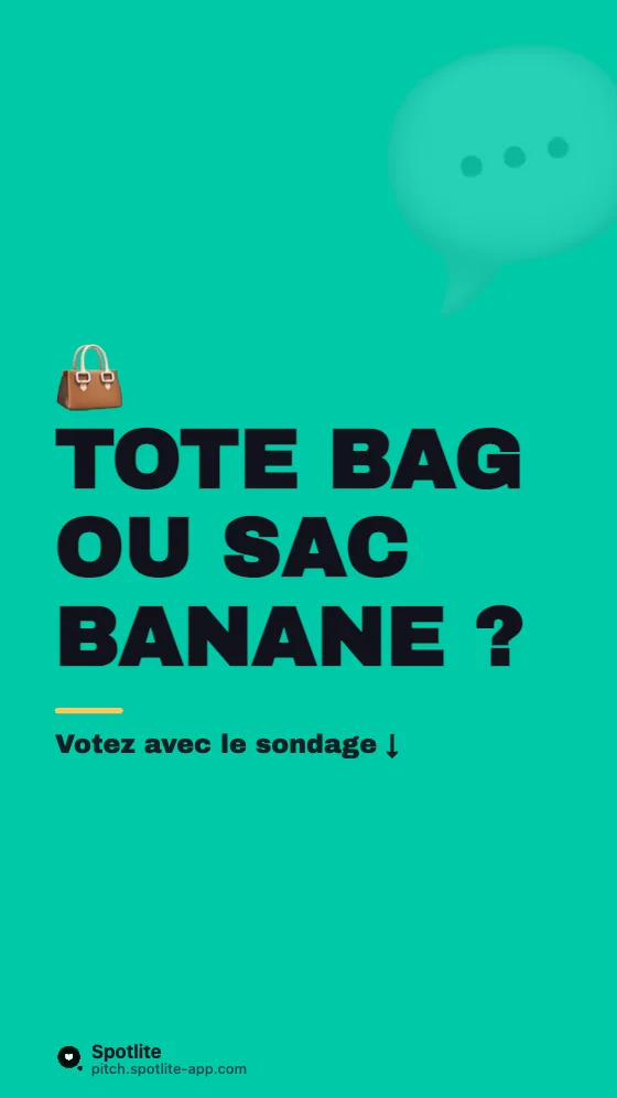 Story sondage — slide 3 : Tote bag ou sac banane ?